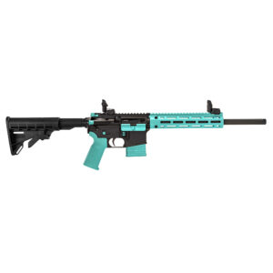 Tippmann Arms Company, M4-22 LTE Accent, Semi-automatic Rifle, AR, 22 LR